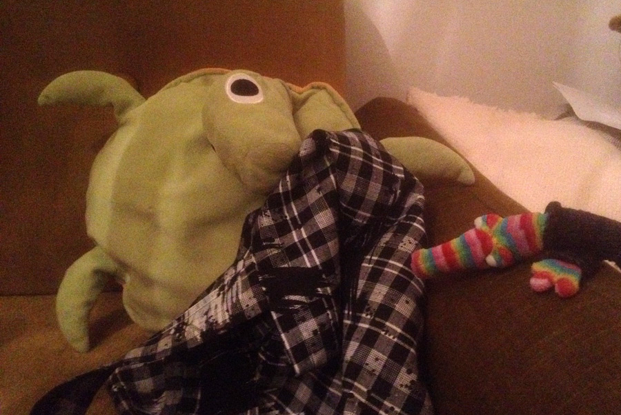 2019 02 12